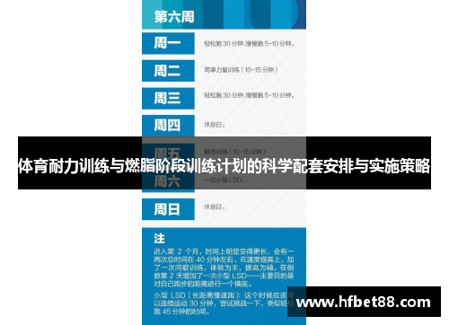 体育耐力训练与燃脂阶段训练计划的科学配套安排与实施策略