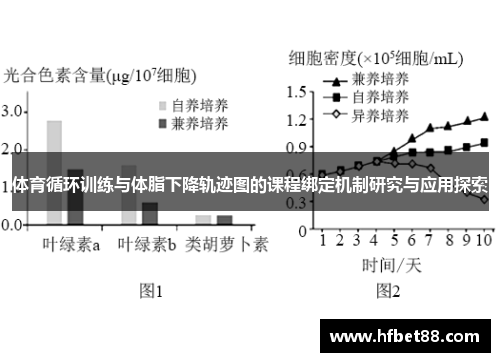 体育循环训练与体脂下降轨迹图的课程绑定机制研究与应用探索